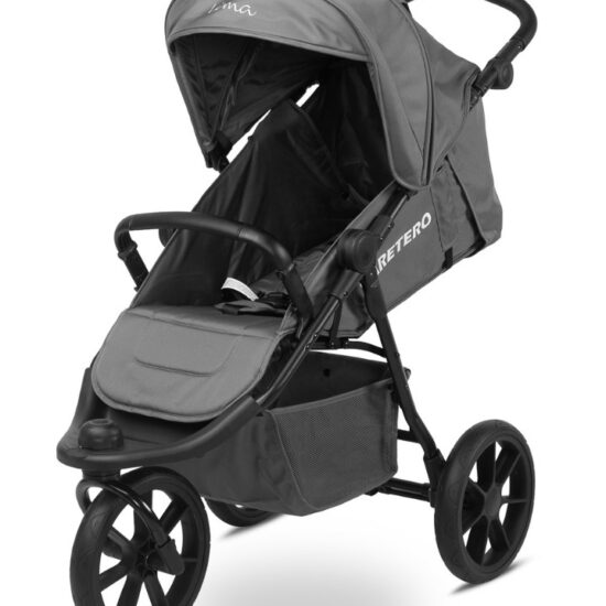 Driewielerbuggy - kinderwagen